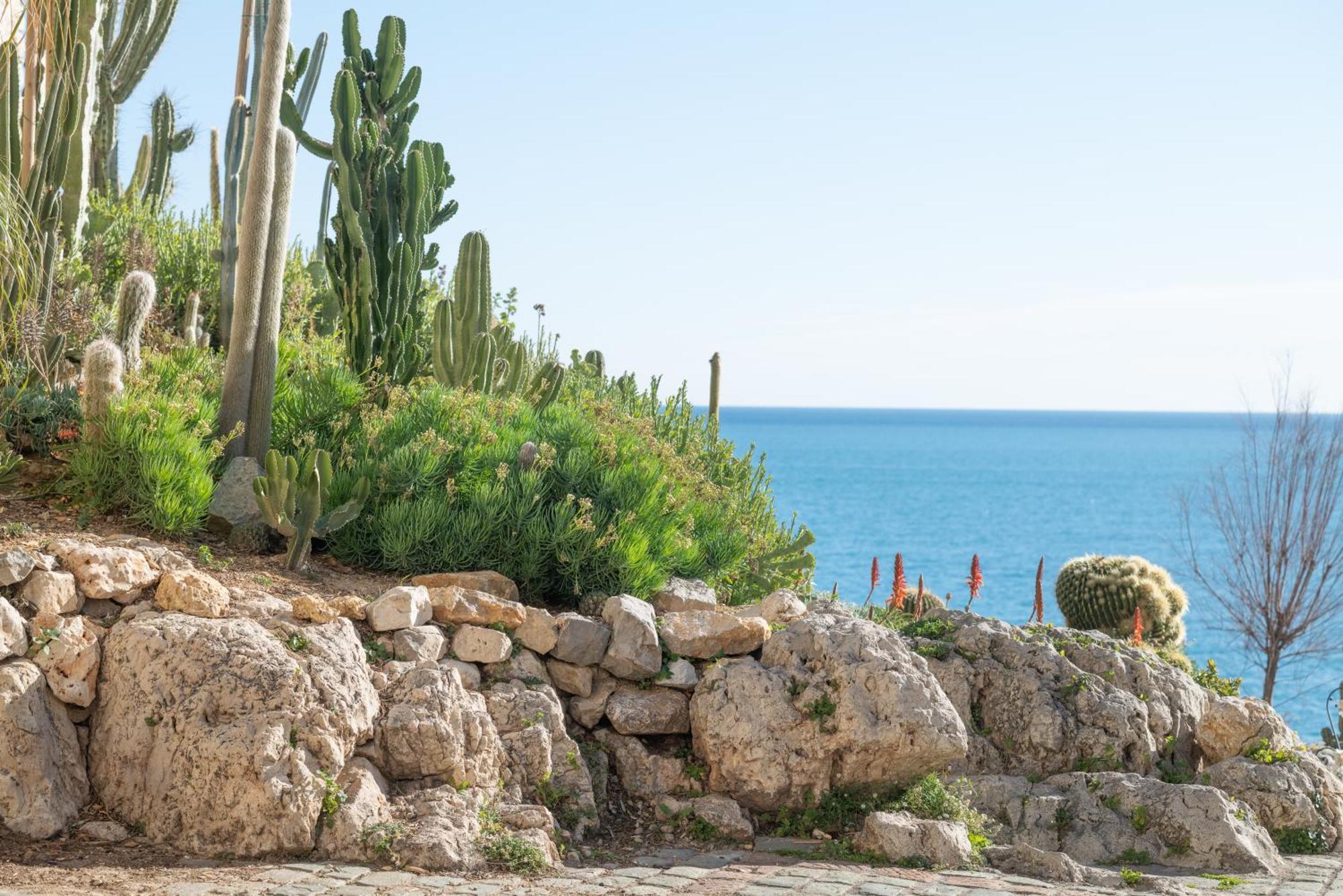 La Pablita, Vieil Antibes, Remparts Leilighet Eksteriør bilde
